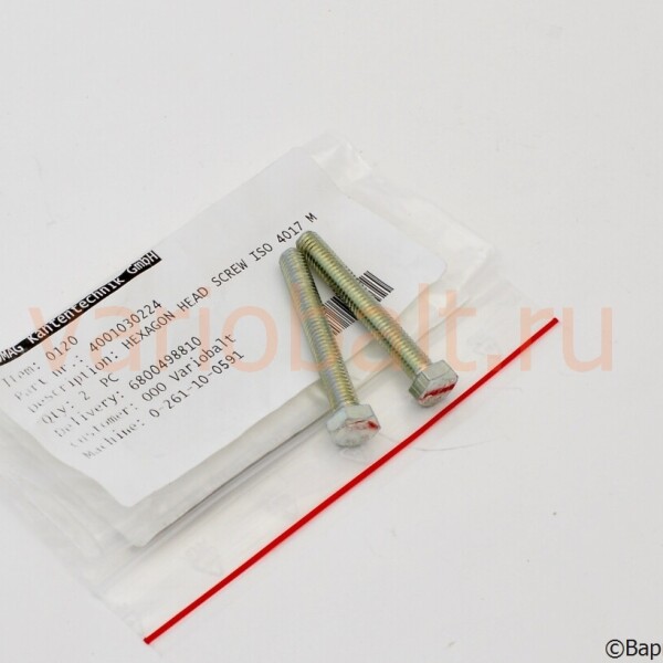 4-001-03-0224_болт_м6_запчасти_homag_holzma_brandt_weeke_friz_ligmatech_bargstedt_butfering